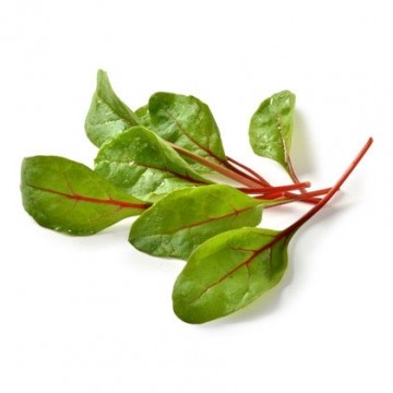 Red chard