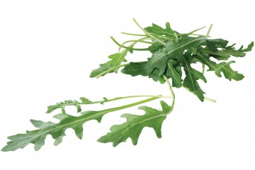 Rucola 0