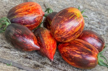 S651568545855798002p6i1w1187