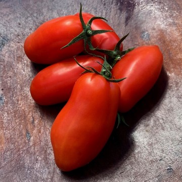 San marzano 1
