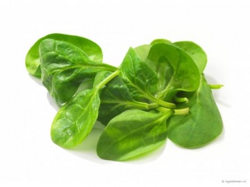 Spinazie 1